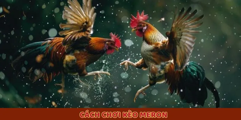 Cách chơi kèo Meron