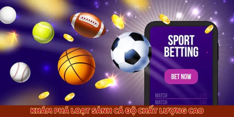 Khám phá loạt sảnh cá độ chất lượng cao