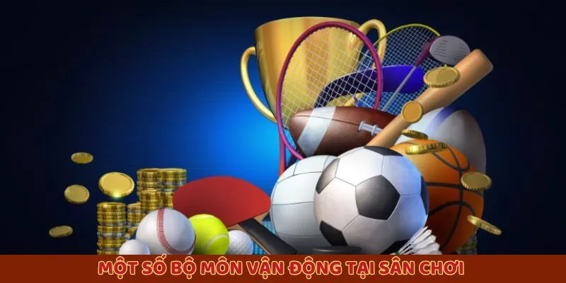 Một số bộ môn vận động tại sân chơi 